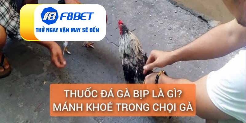 Thuốc đá gà bịp là gì